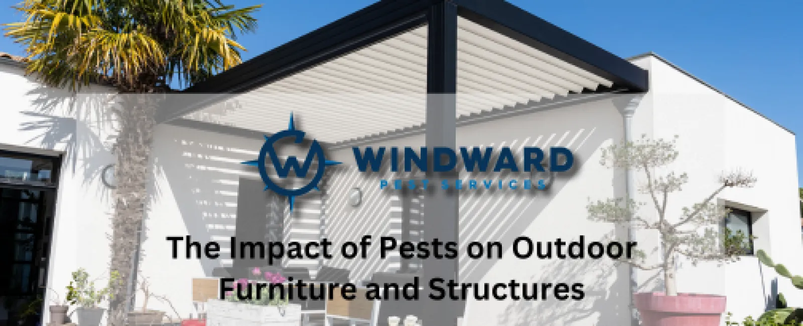 The Impact of Pests on Outdoor Furniture and Structures