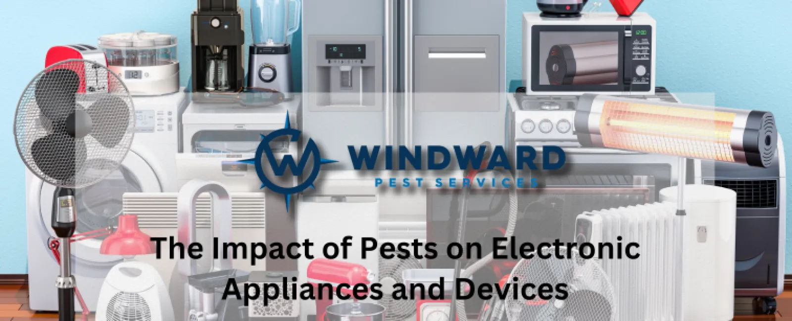 The Impact of Pests on Electronic Appliances and Devices