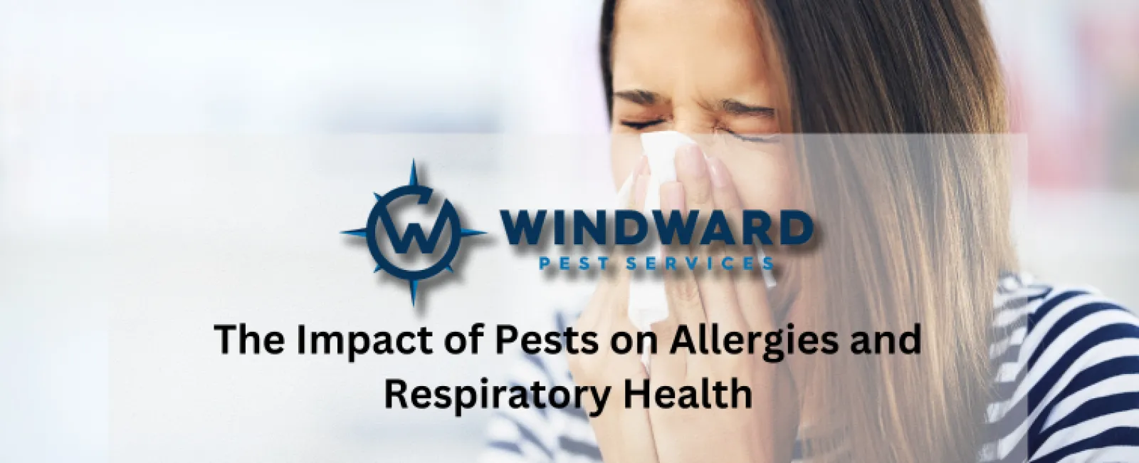 The Impact of Pests on Allergies and Respiratory Health