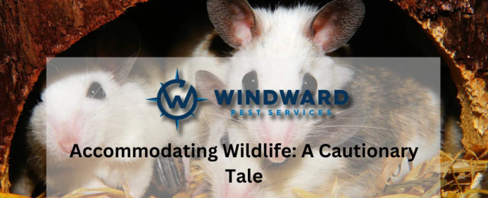 Accommodating Wildlife: A Cautionary Tale