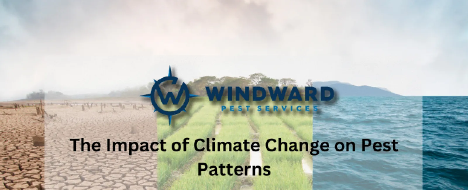 The Impact of Climate Change on Pest Patterns