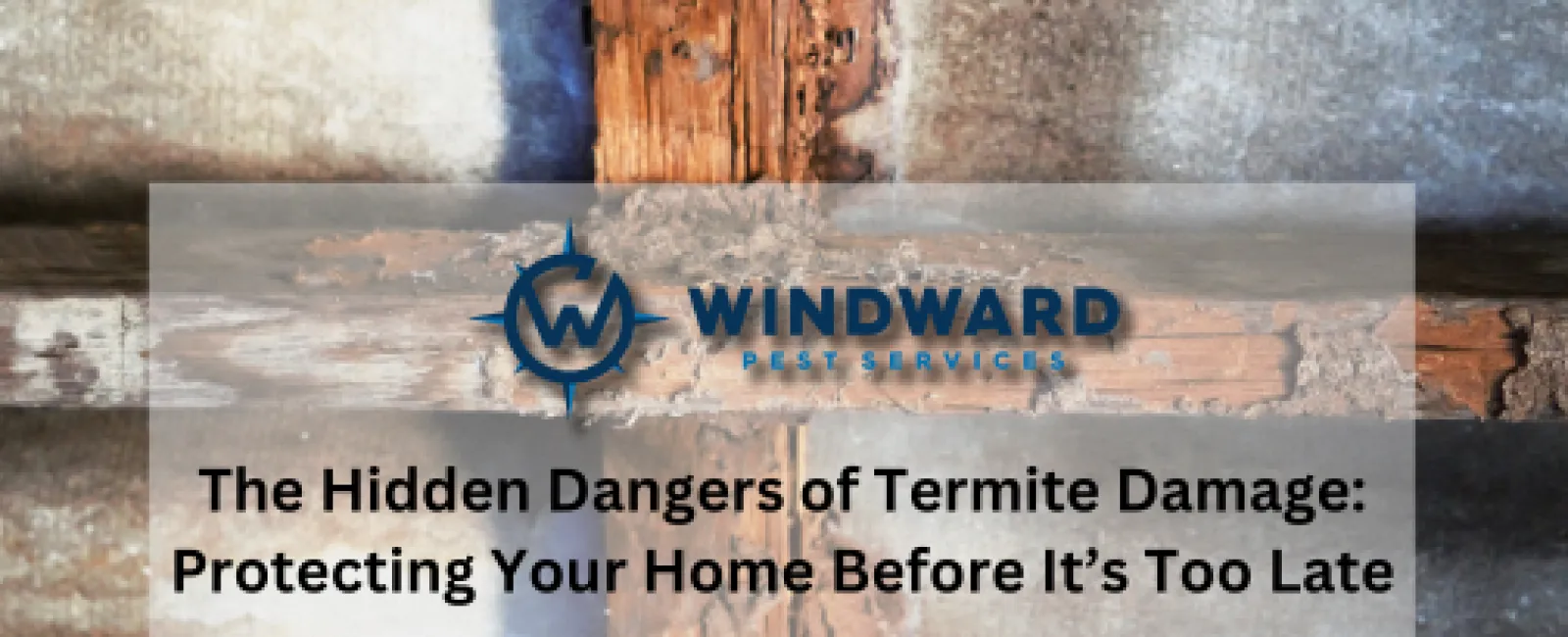 The Hidden Dangers of Termite Damage: Protecting Your Home Before It’s Too Late