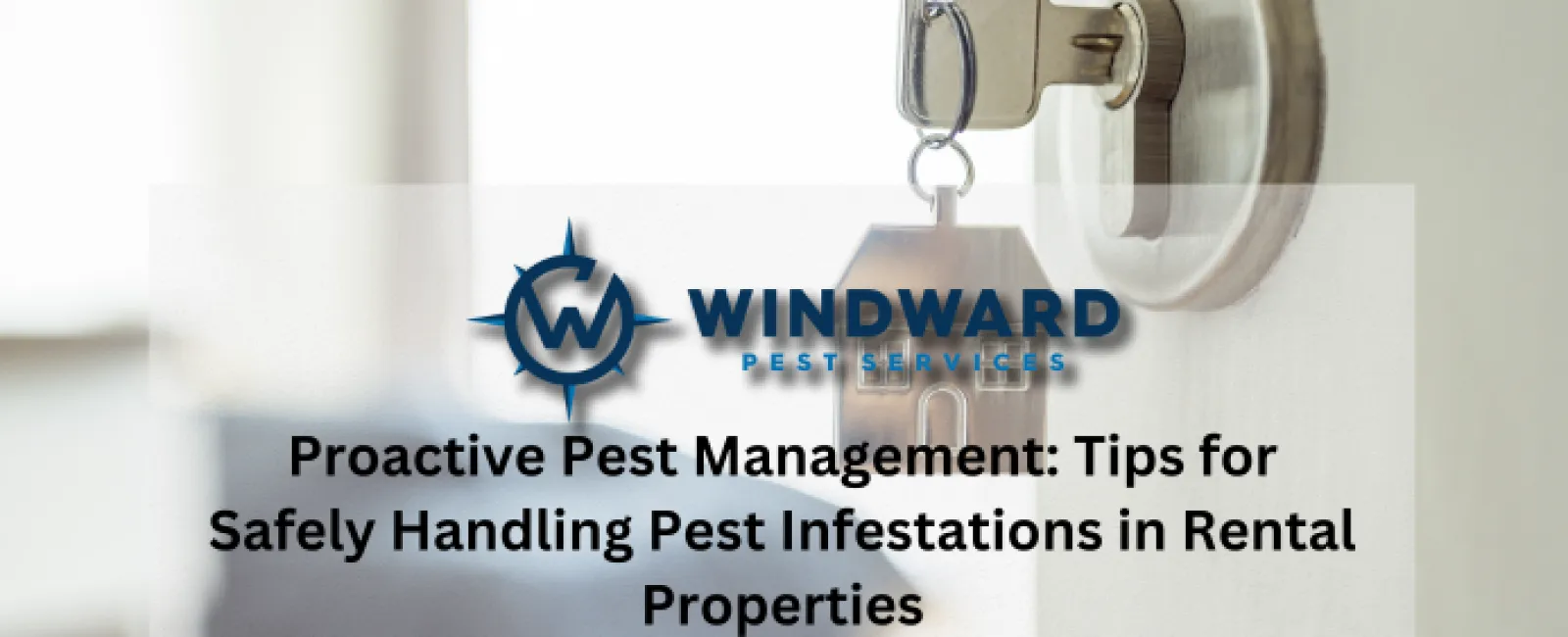 Proactive Pest Management: Tips for Safely Handling Pest Infestations in Rental Properties