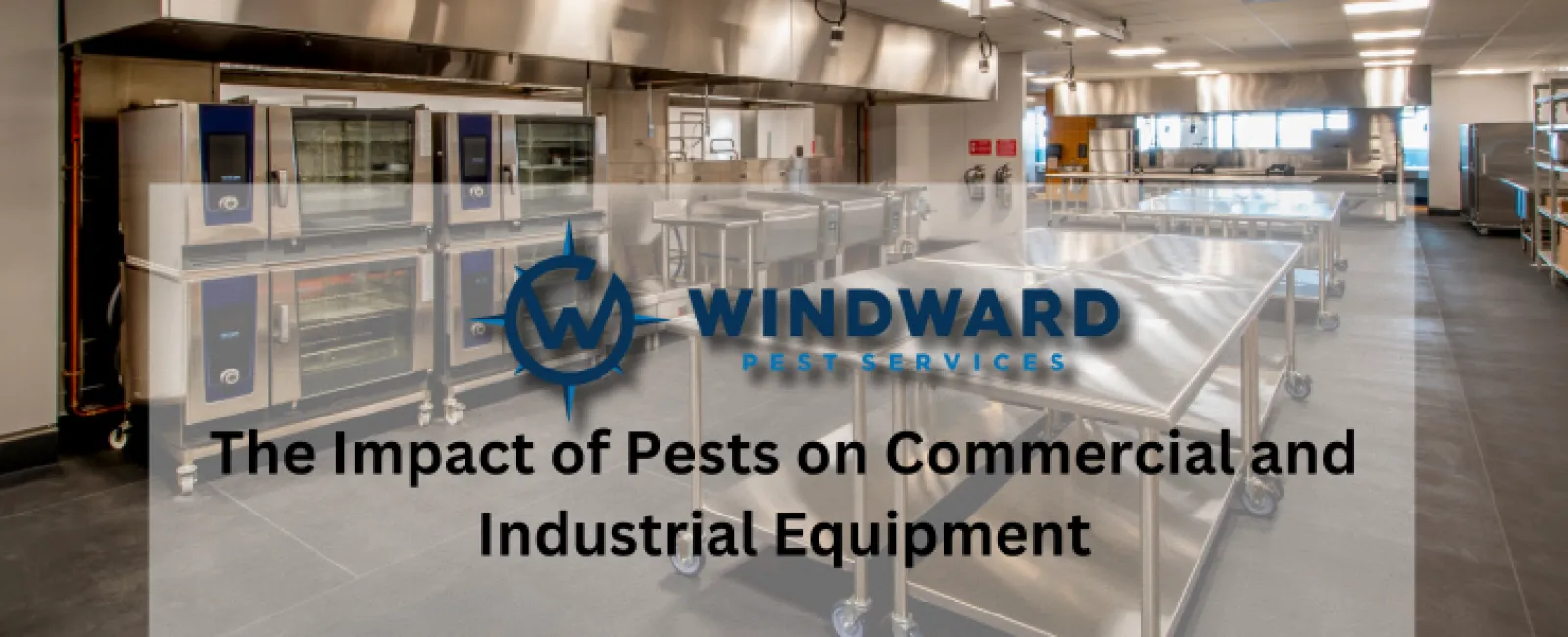 The Impact of Pests on Commercial and Industrial Equipment