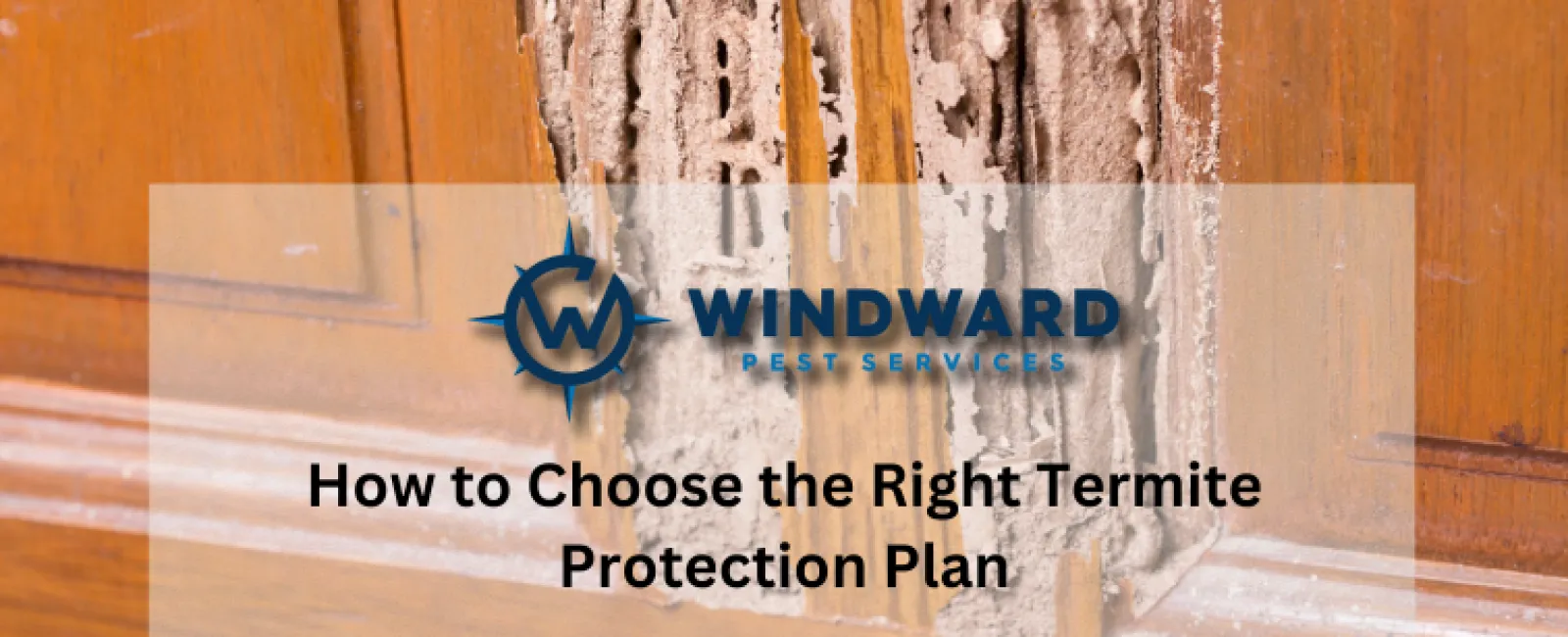 How to Choose the Right Termite Protection Plan, Atlanta Pest Control, Atlanta Interior and Exterior Pest Treatments, Windward Pest Services Pest Inspections, Atlanta Pest Services, Termite Treatment, Georgia Termites