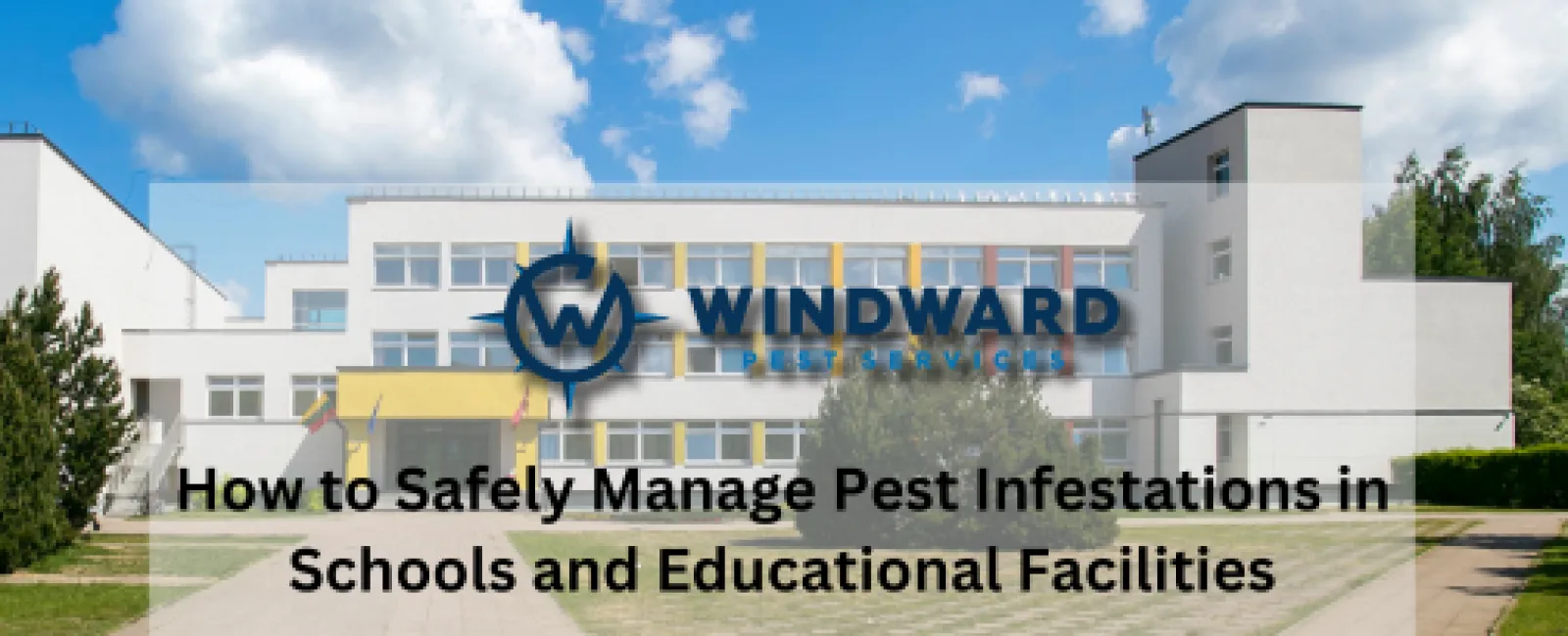 How to Safely Manage Pest Infestations in Schools and Educational Facilities