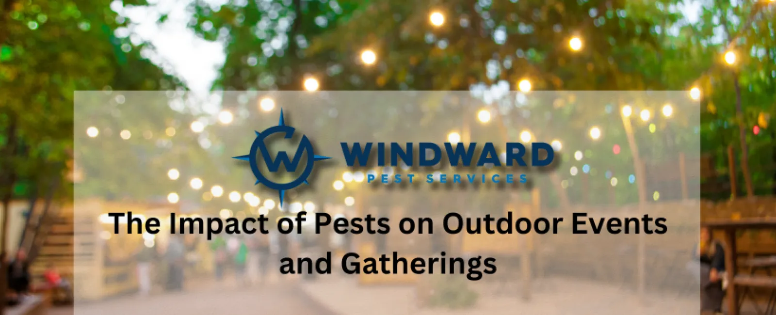 The Impact of Pests on Outdoor Events and Gatherings