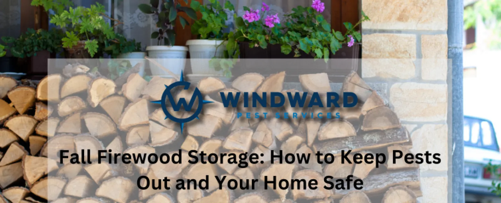 Fall Firewood Storage: How to Keep Pests Out and Your Home Safe