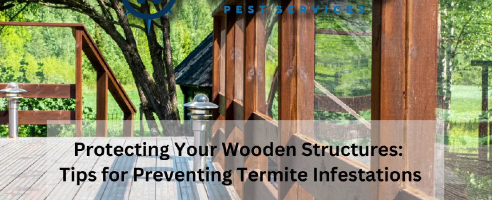 Protecting Your Wooden Structures: Tips for Preventing Termite Infestations