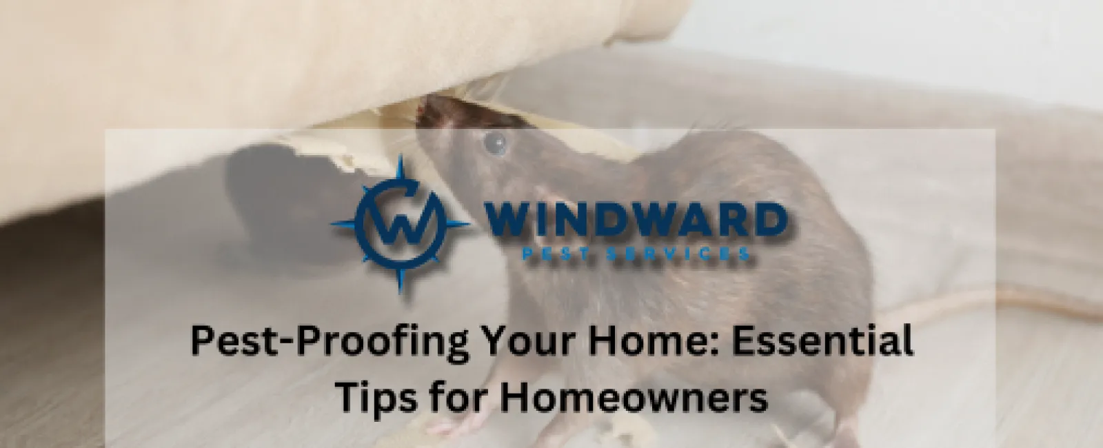 Pest-Proofing Your Home: Essential Tips for Homeowners