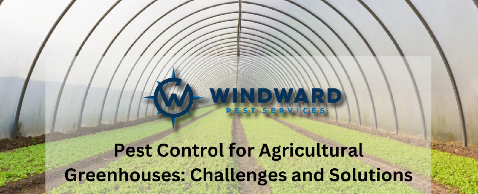 Pest Control for Agricultural Greenhouses: Challenges and Solutions