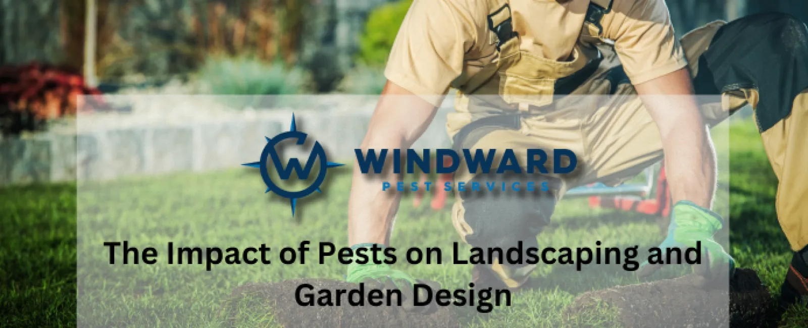 The Impact of Pests on Landscaping and Garden Design