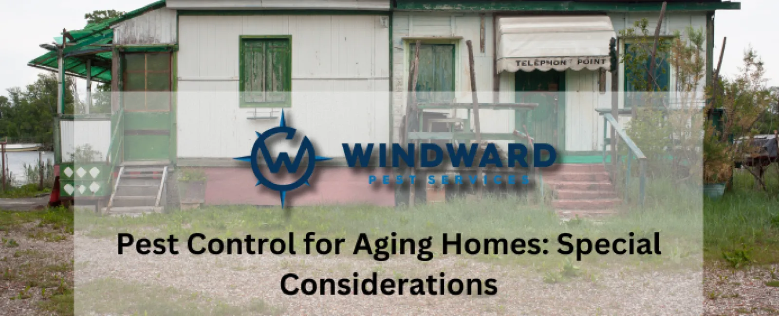 Pest Control for Aging Homes: Special Considerations