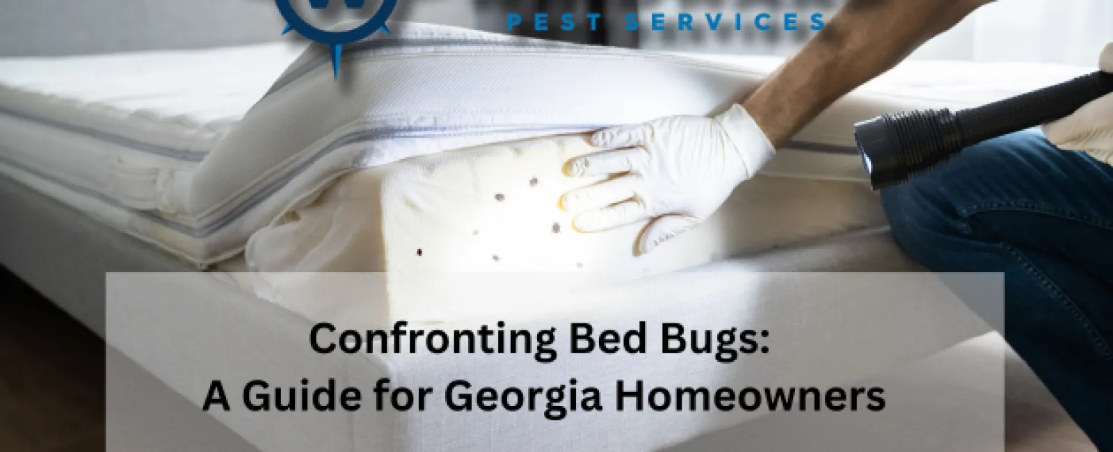 Confronting Bed Bugs: A Guide for Georgia Homeowners