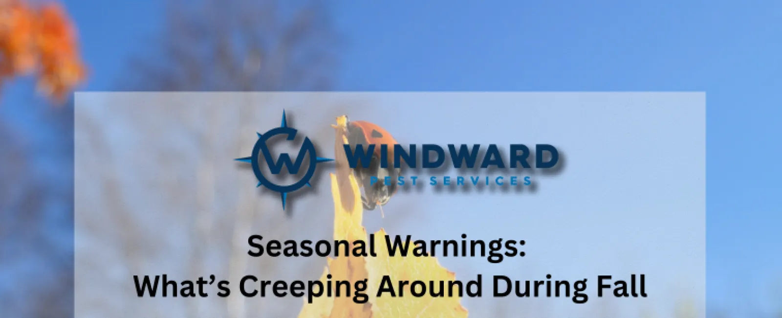 Seasonal Warnings: What’s Creeping Around During Fall