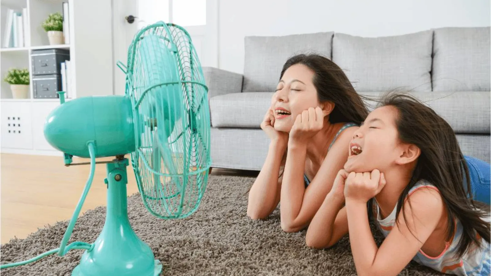 Ductless vs Central Air: Which Option is Right for My Home?