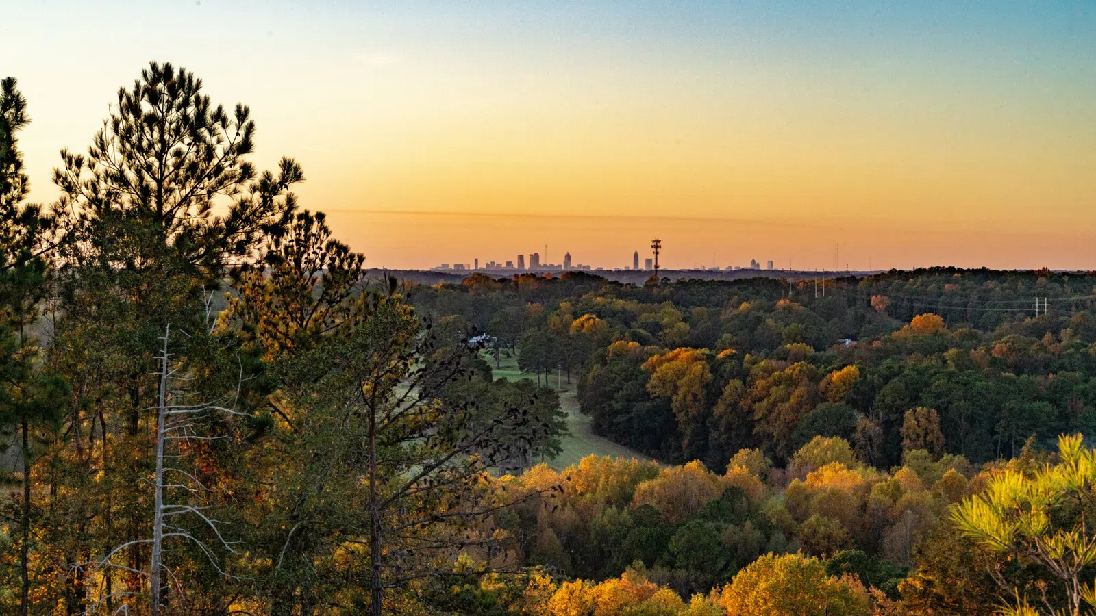 City skyline seen from a forested area during sunset with colorful autumn foliage.