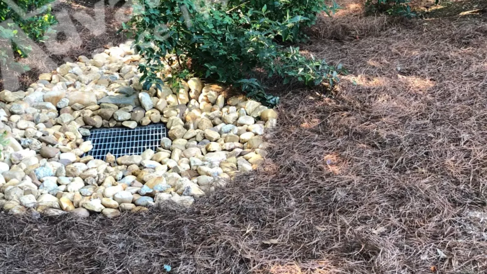 a small garden with rocks and plants