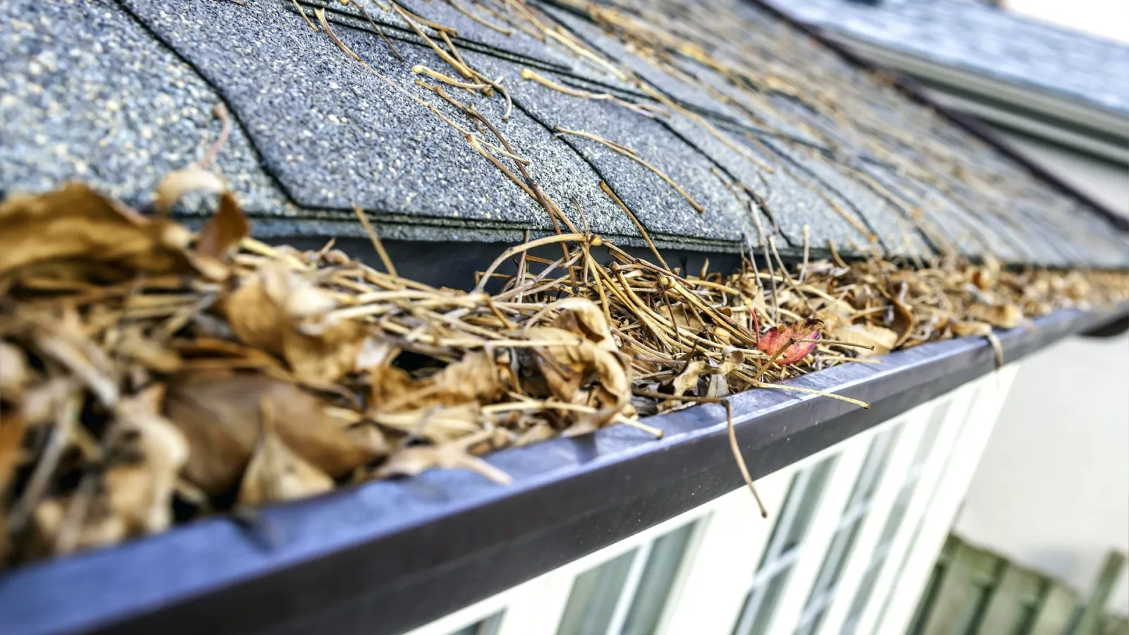 5 Signs You Need Gutter Repairs