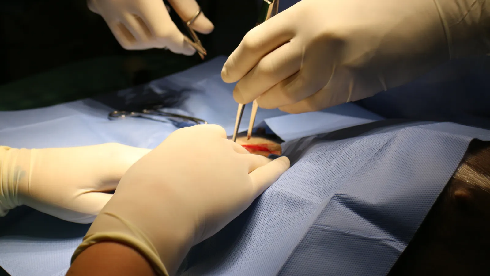 a person receiving an injection