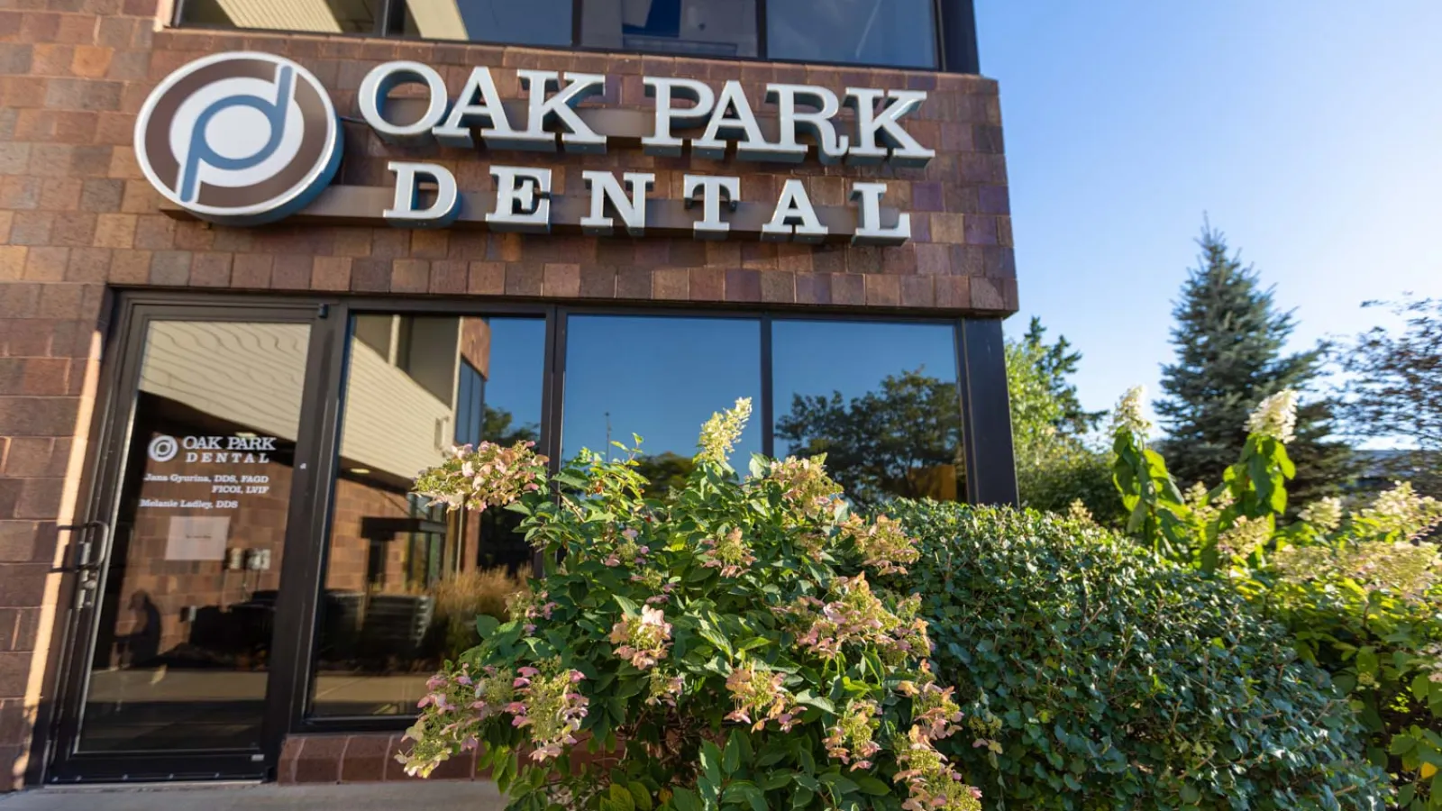 Exterior view of Oak Park Dental office with signage, glass door, and flowering plants under clear blue sky.