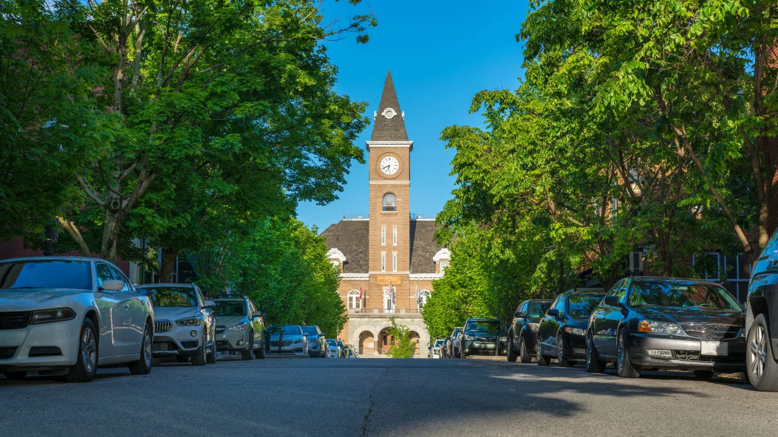 Street view of a clock tower building framed by lush green trees and cars parked along the road under clear blue sky.