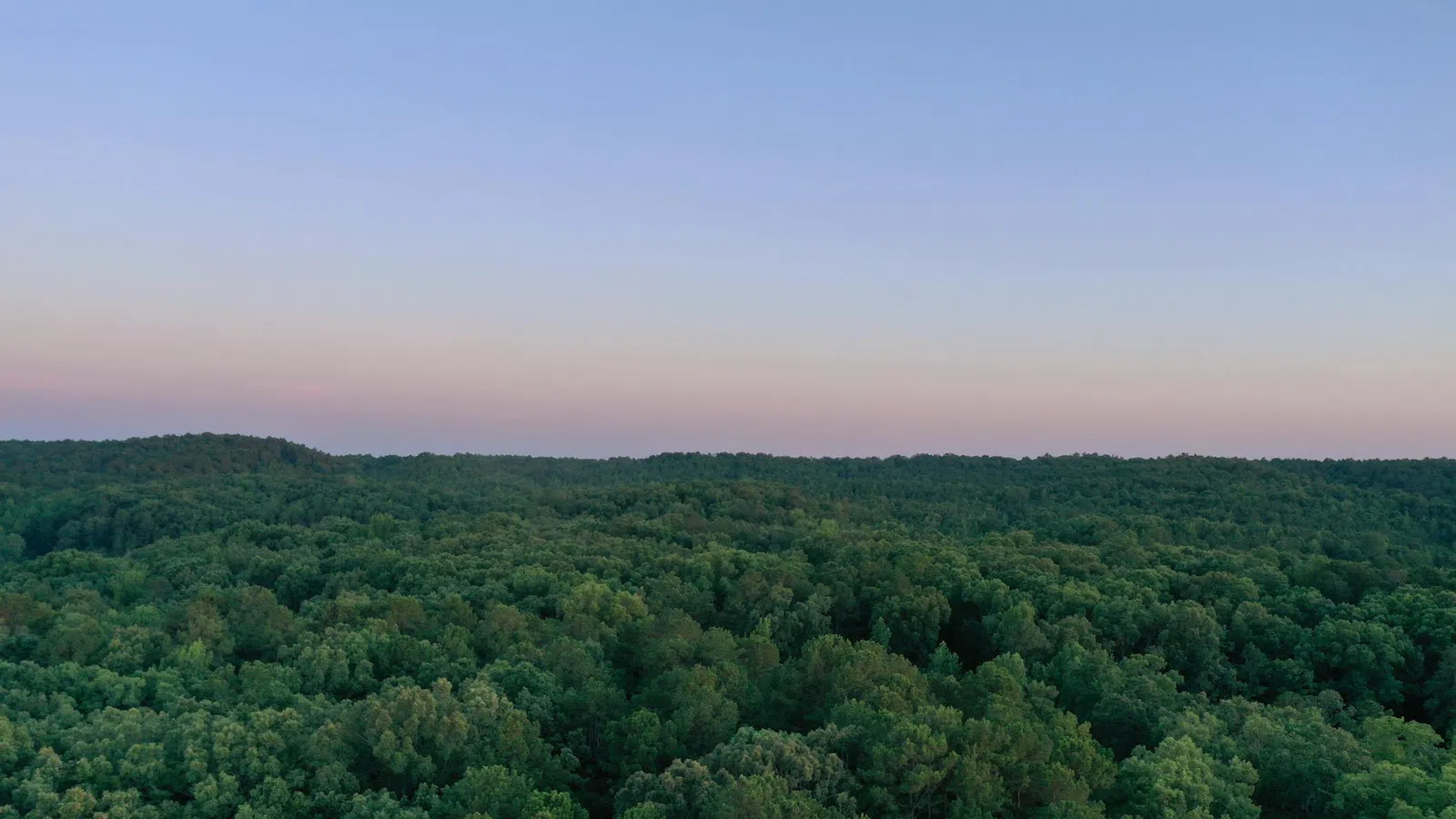 A vast green forest under a clear blue sky with a subtle sunset glow on the horizon.