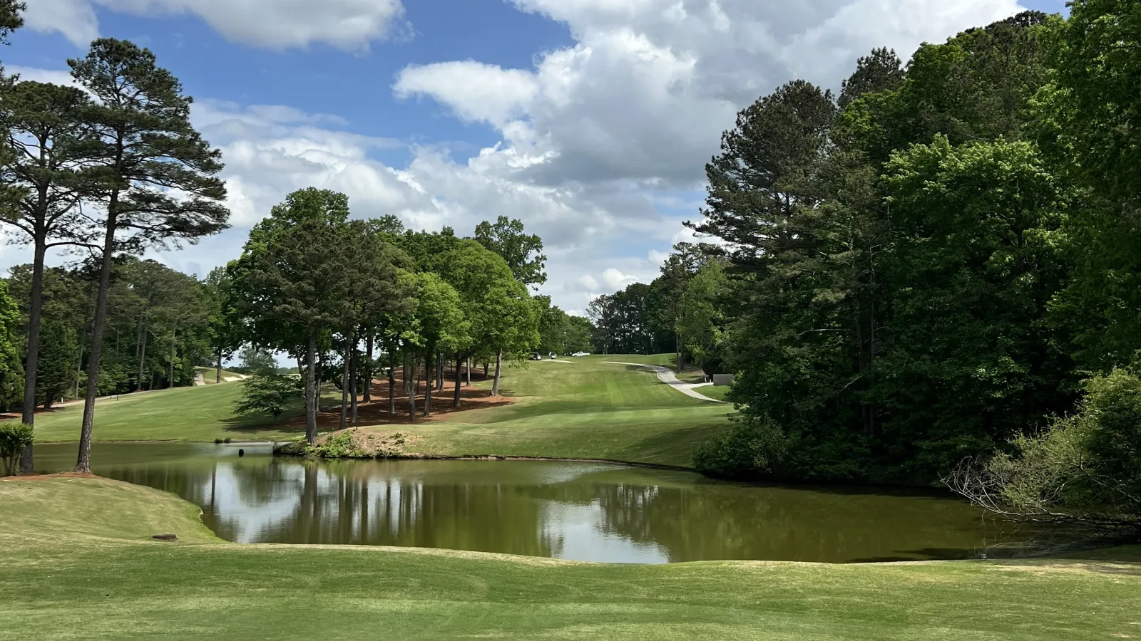 a pond surrounded by grass and trees