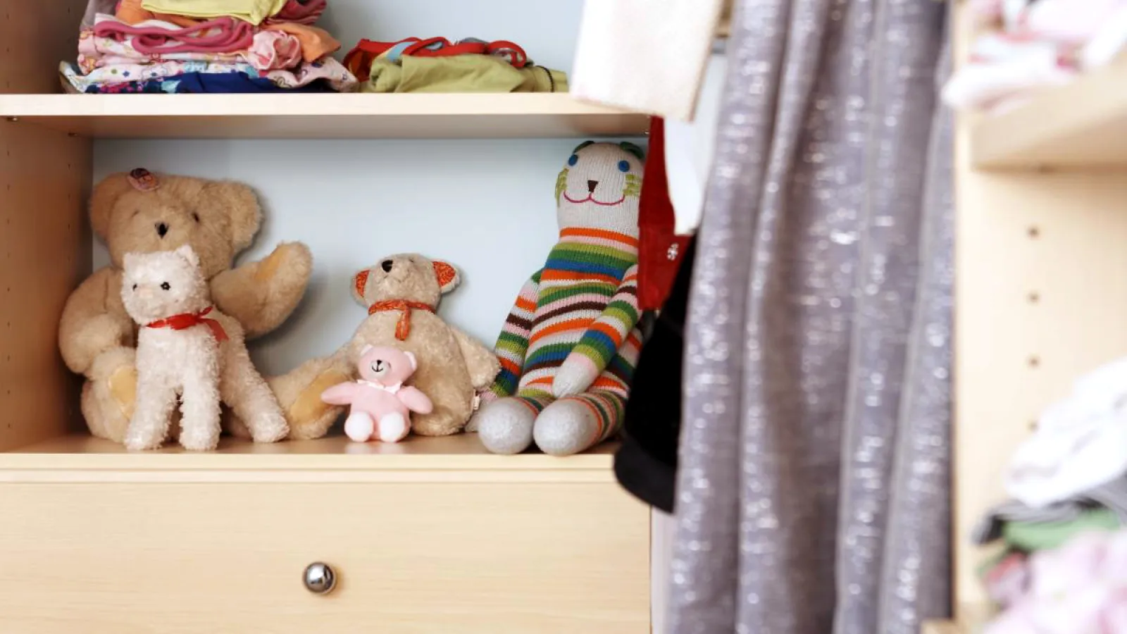 a closet full of stuffed animals