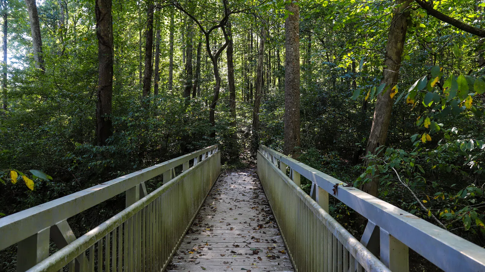 a wooden bridge in the woods