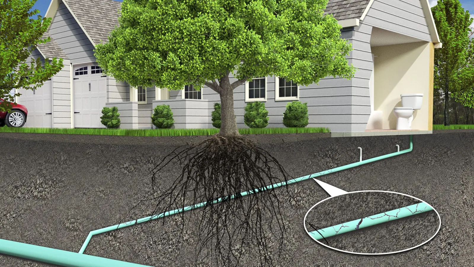 a house with a yard and a tree