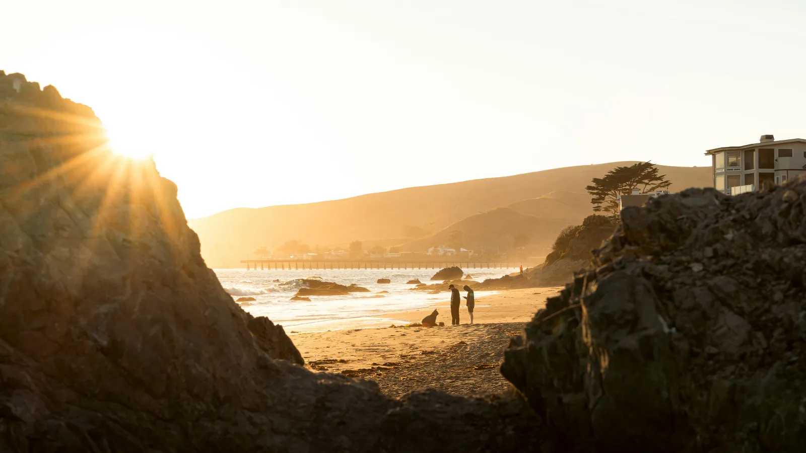 people walking on a beach