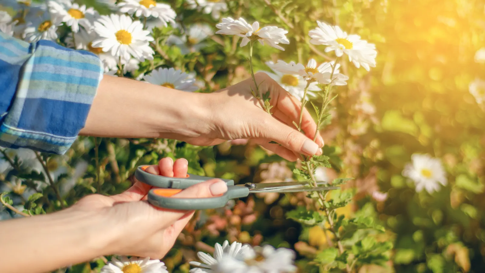 hands holding a small silver spoon