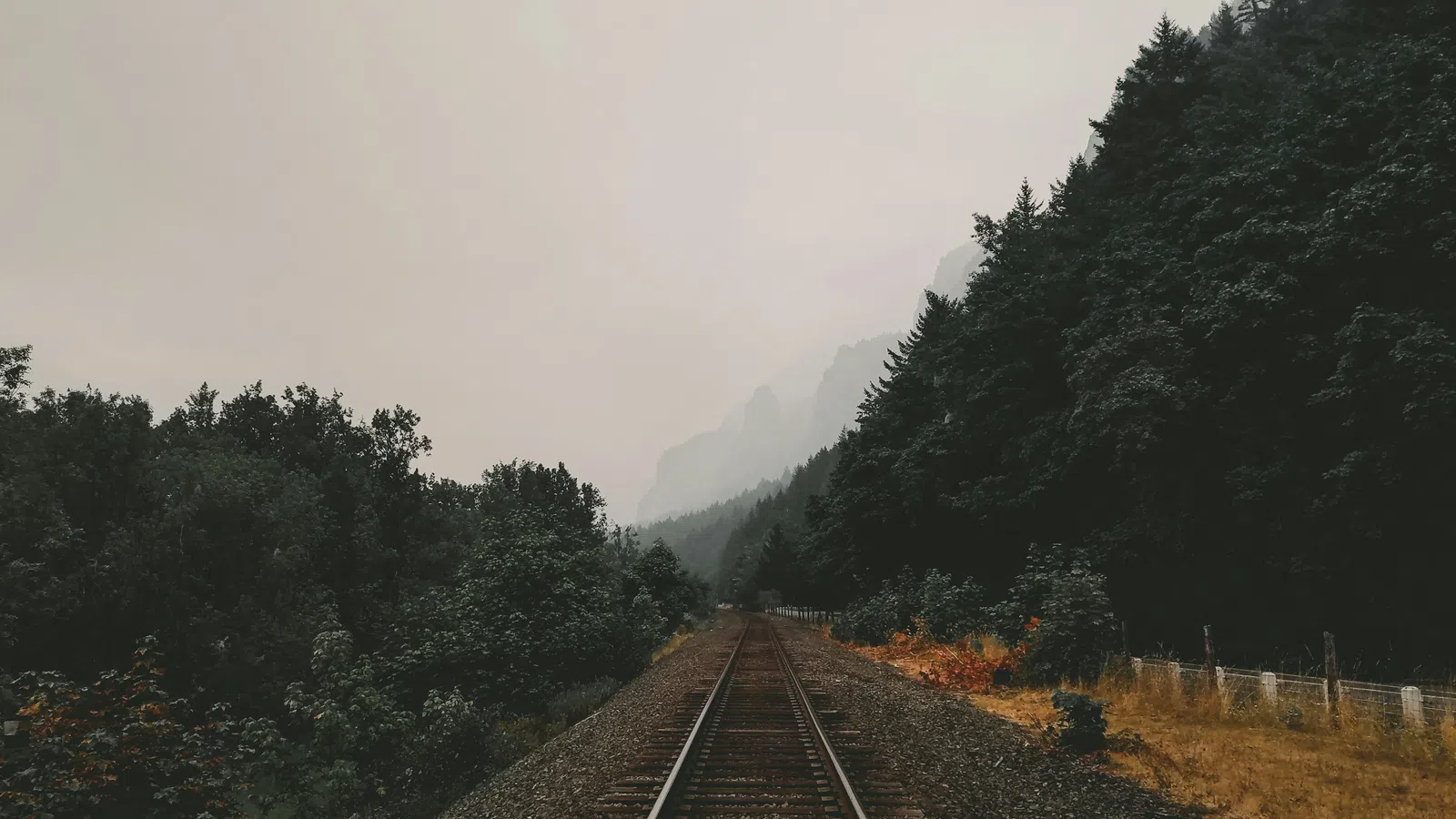 Railroad tracks leading through dense green forest under a foggy, overcast sky and distant mountains.