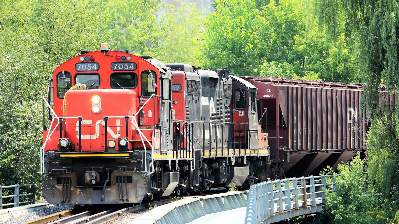 Red Canadian National freight train moving through green forested area on curved tracks during daytime