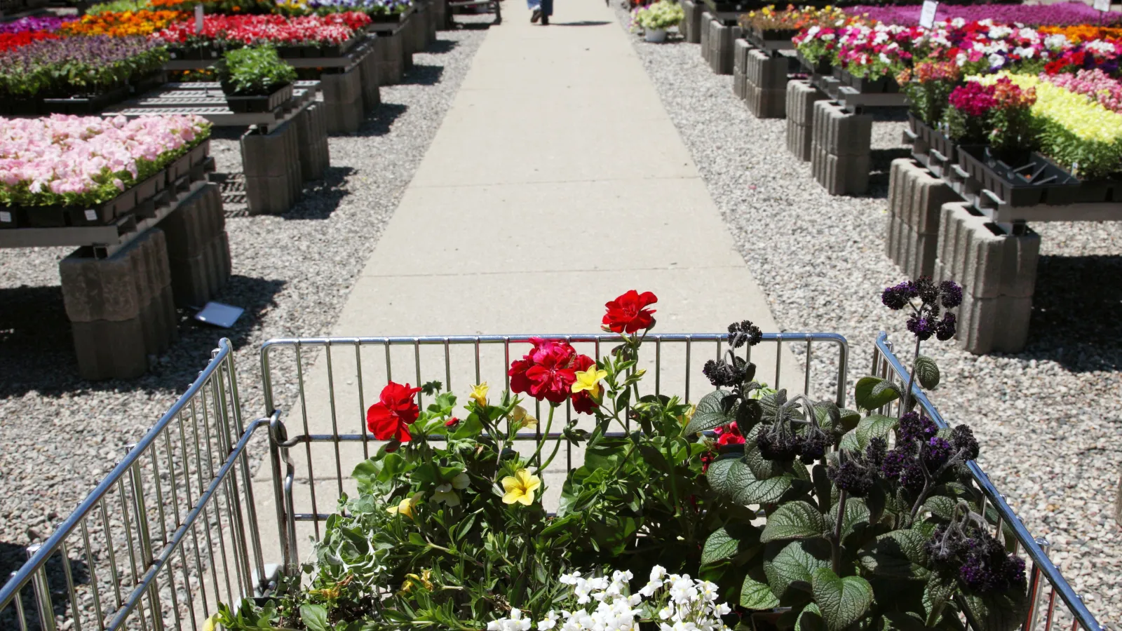 a sidewalk with flowers