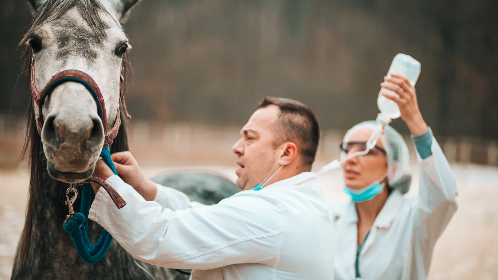 a man and woman petting a horse