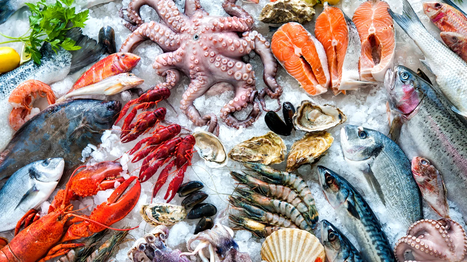 a pile of fish