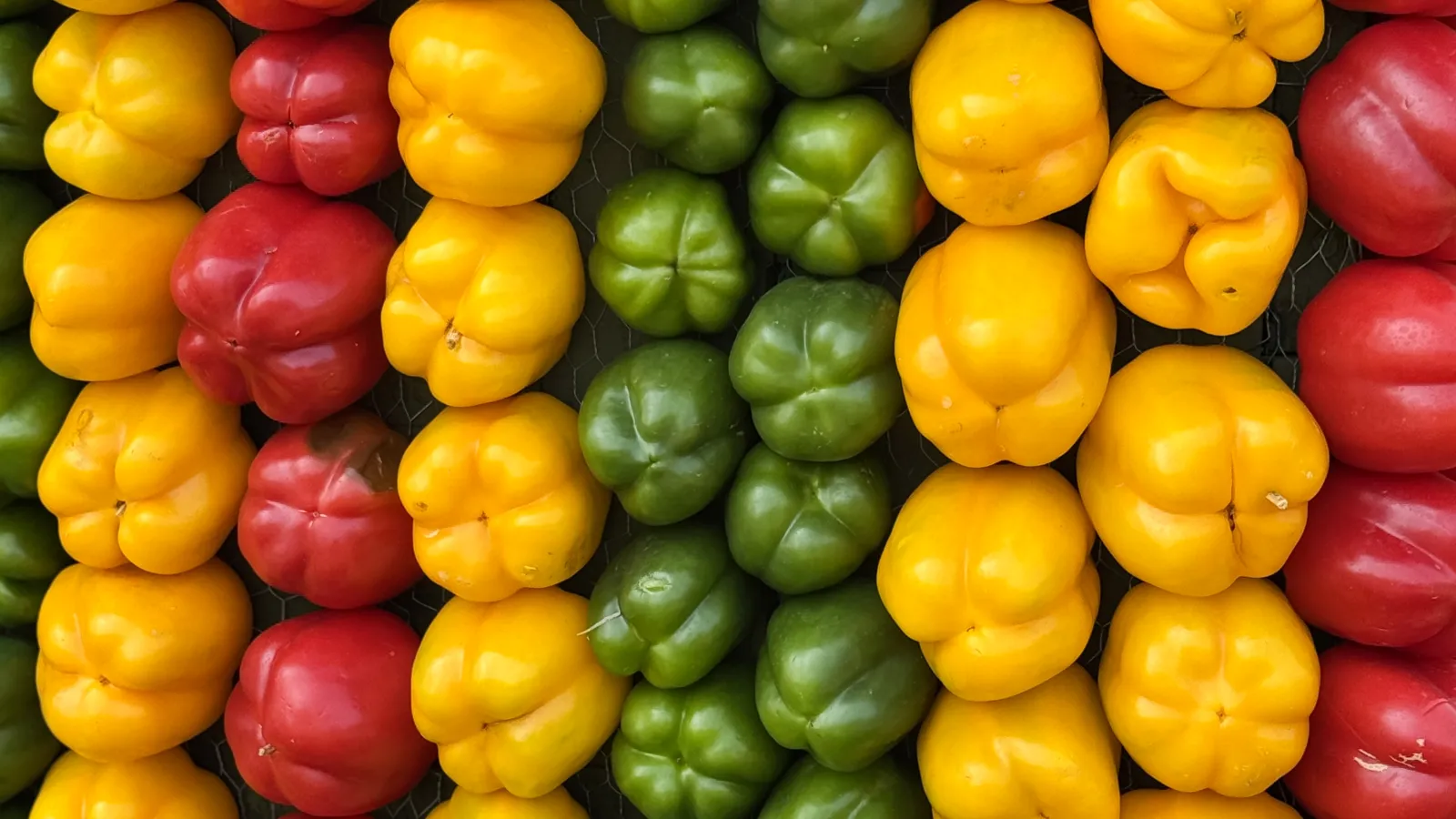 Rows of red, yellow, and green bell peppers neatly arranged in vertical stripes at a market display.
