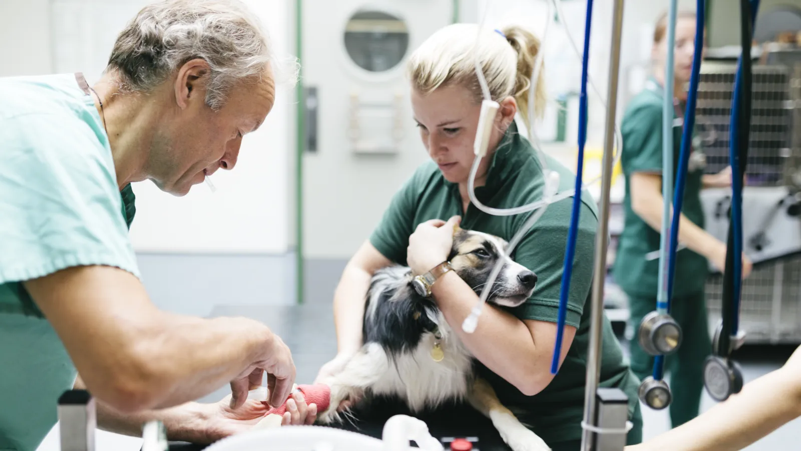 a man and a woman in a gym with a dog