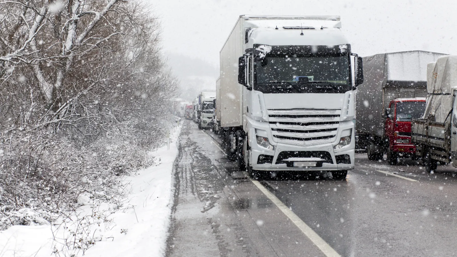 White trucks lined up on a snowy road during heavy snowfall with snow-covered trees on the roadside.