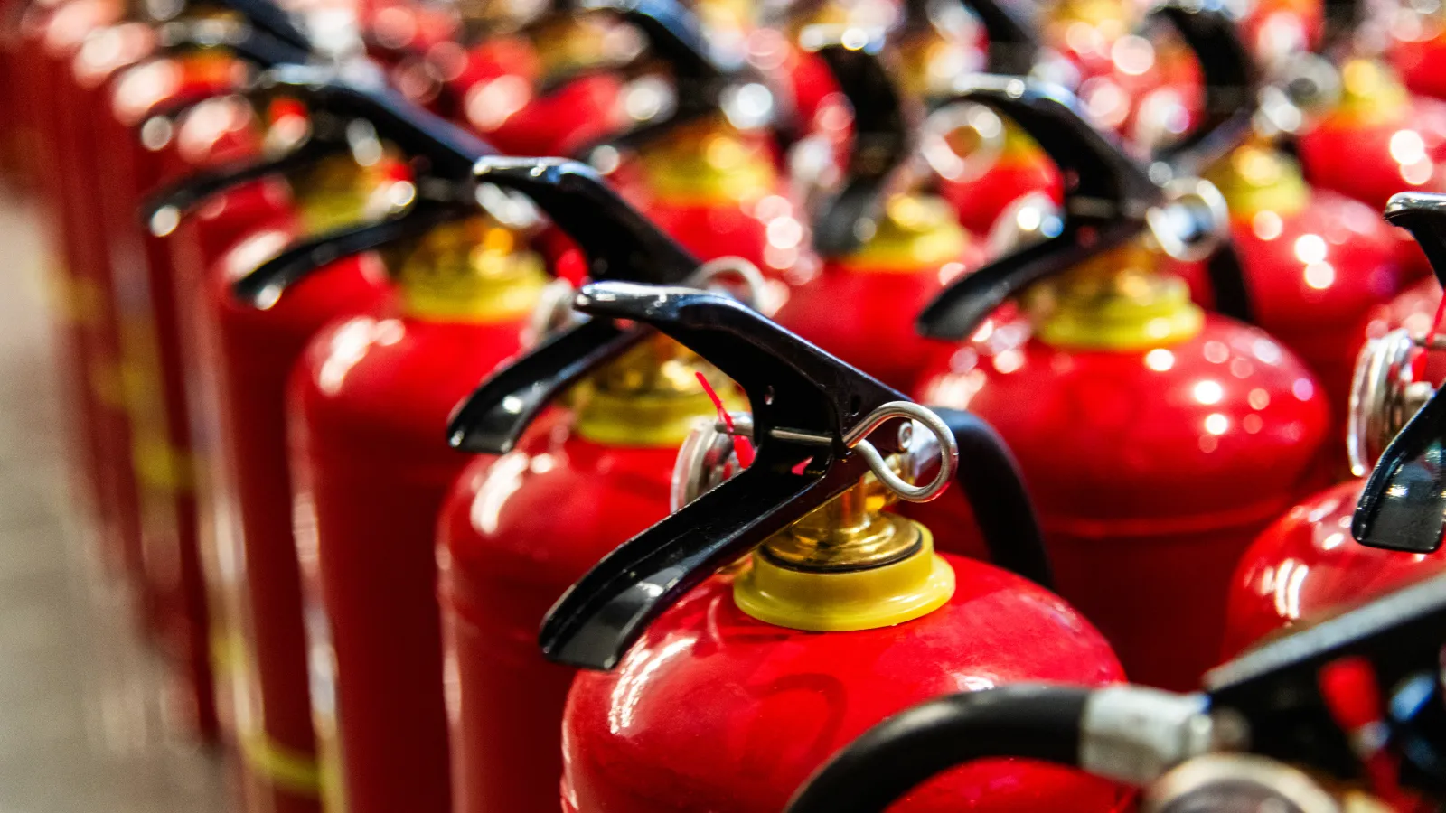 Multiple red fire extinguishers with black handles lined up in rows ready for safety use.