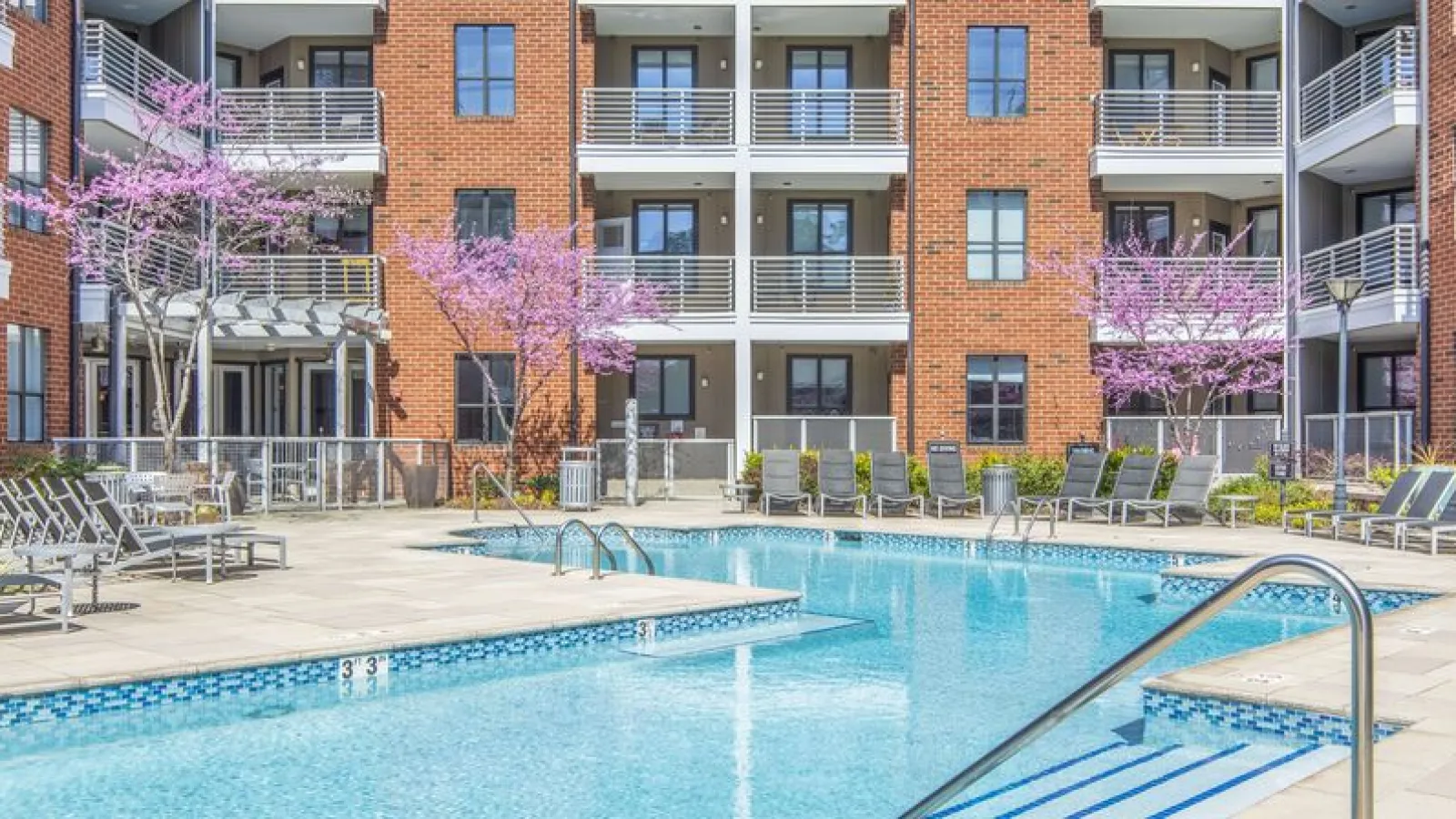 Apartment complex courtyard with outdoor swimming pool, lounge chairs, and pink flowering trees in springtime.