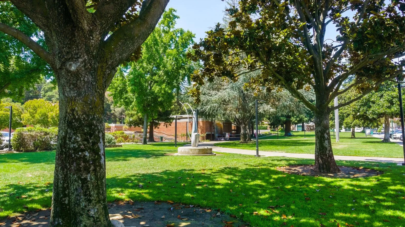 a park with trees and grass