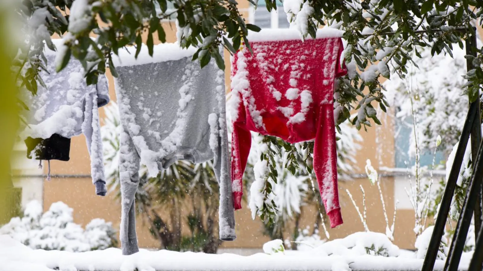 Winter Wardrobe Changes in Clothing Care