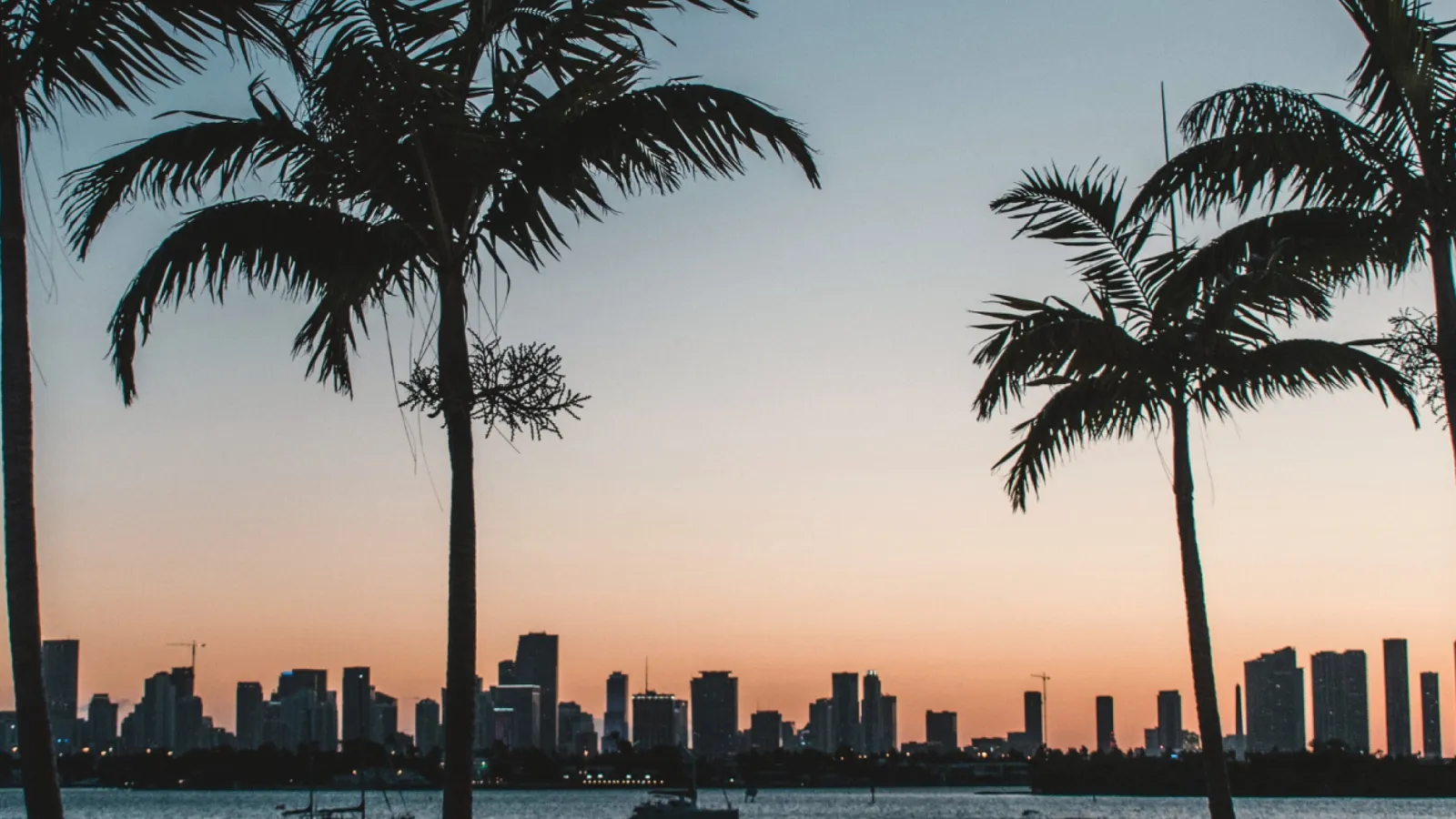 a group of palm trees next to a body of water and a city