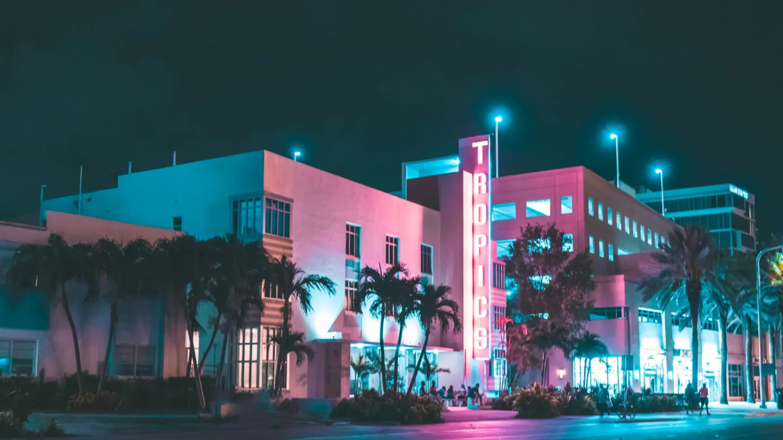 a building with palm trees and a street at night