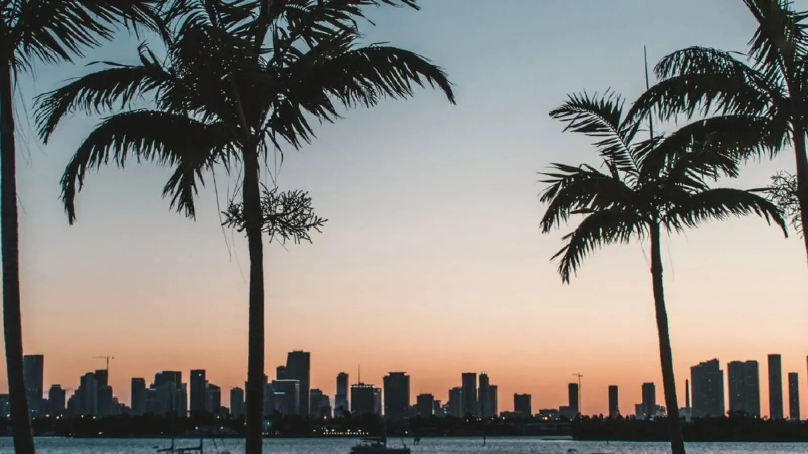 a city skyline with palm trees