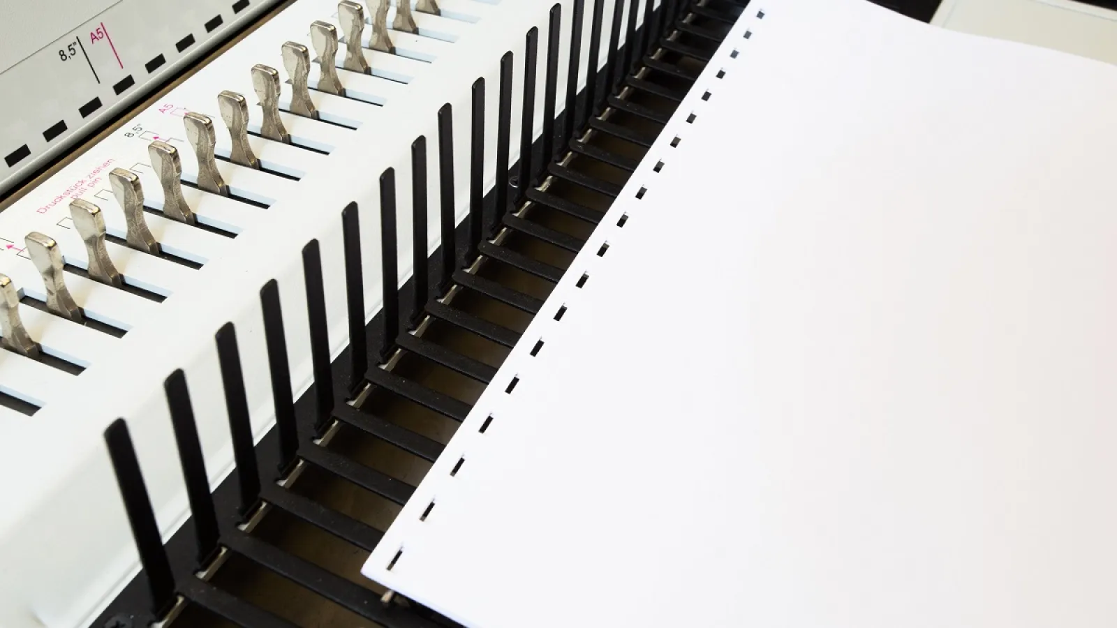 Pages punched with slots for Wire-O BInding