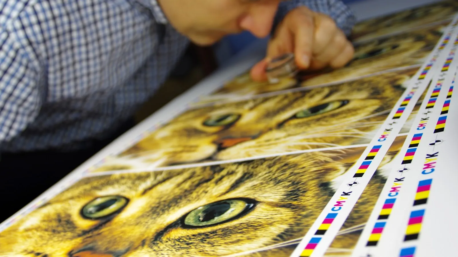A man inspecting a Full Color Printing Project
